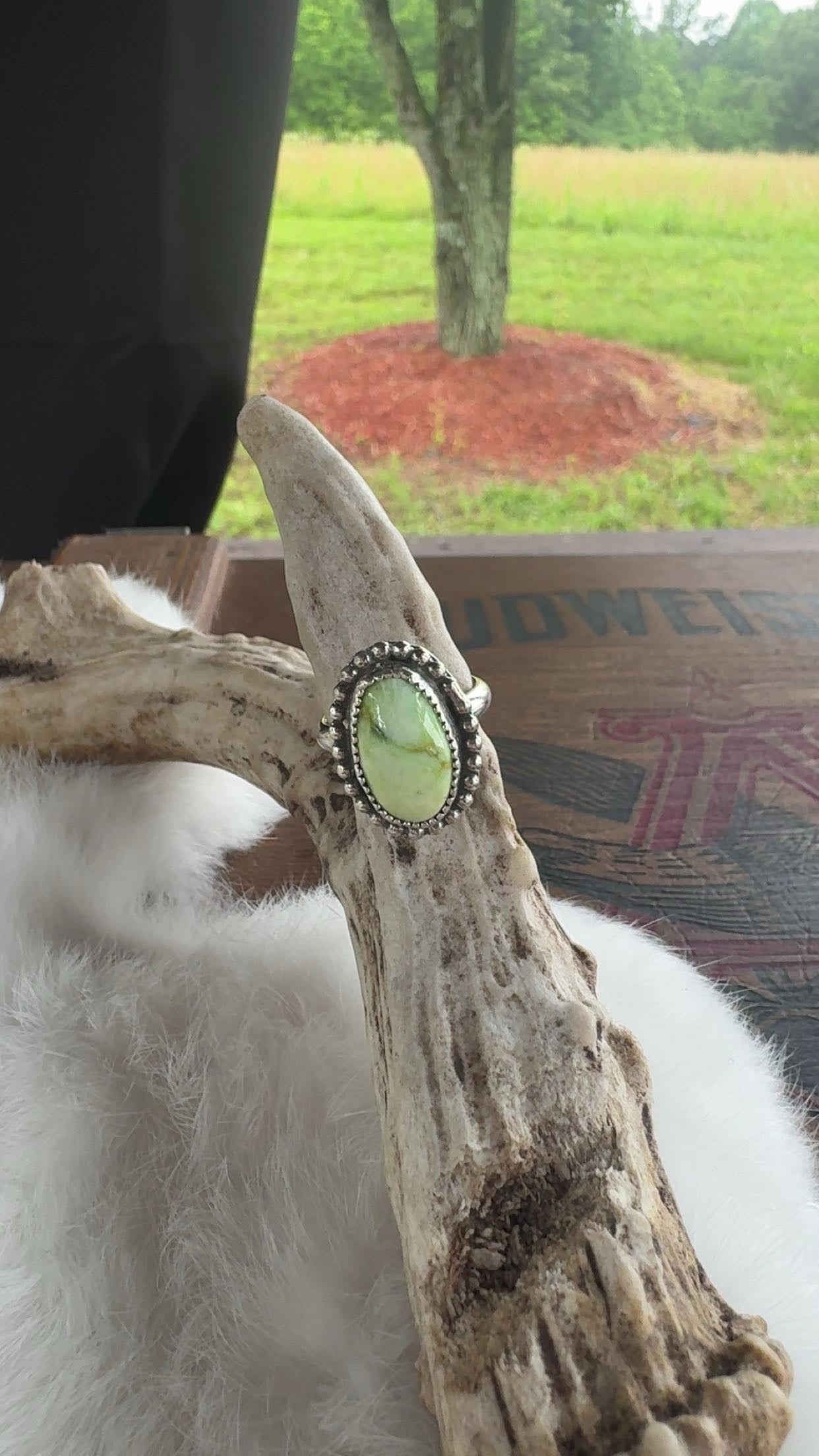Palomino ring