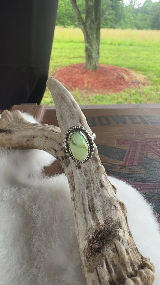 Palomino ring